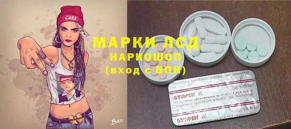 ПСИЛОЦИБИНОВЫЕ ГРИБЫ Волоколамск